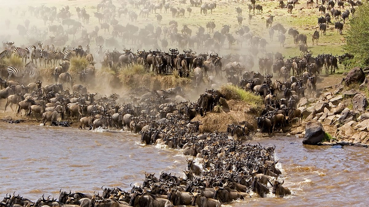 Serengeti Safaris with Untamed East Africa Safaris